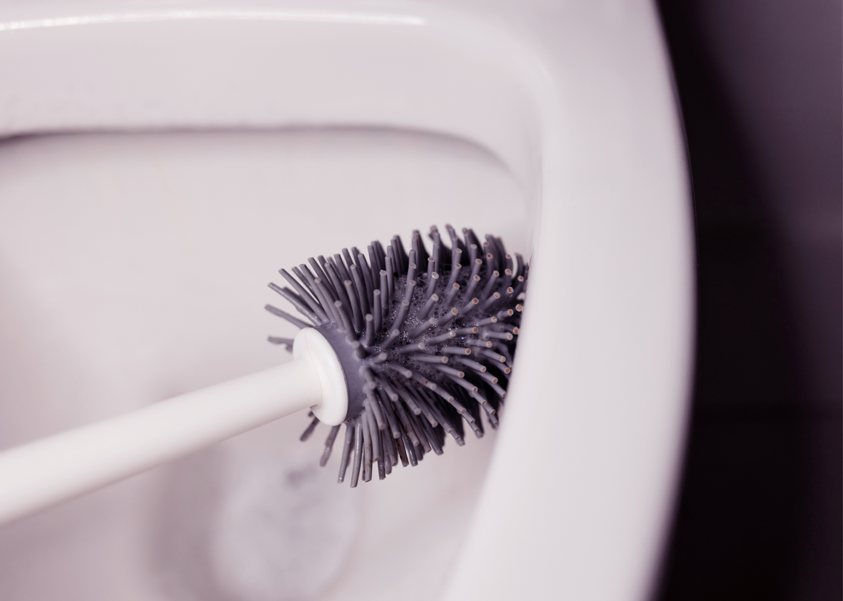 3-frequently-asked-questions-on-toilet-brush-greenlivinglife