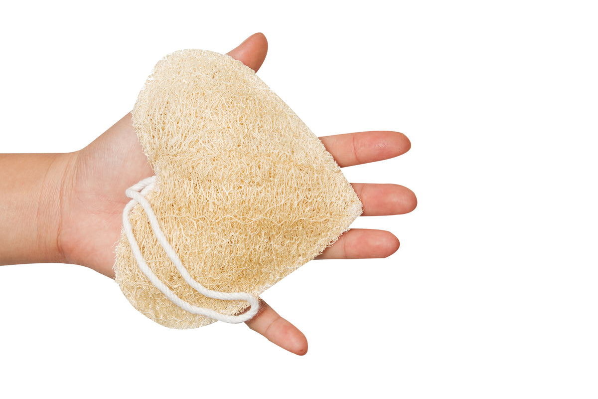 Best Ways to Use Natural Loofah Sponge & Loofah Shower GreenLivingLife