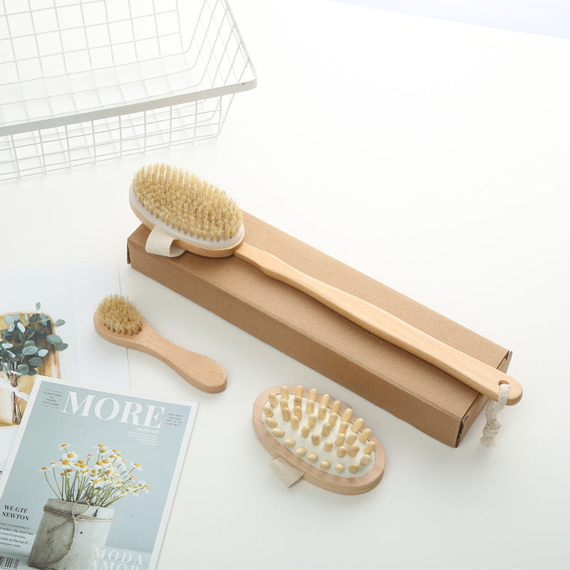 Detachable Shower Brush Set / Natural Dry Brush Kit GreenLivingLife