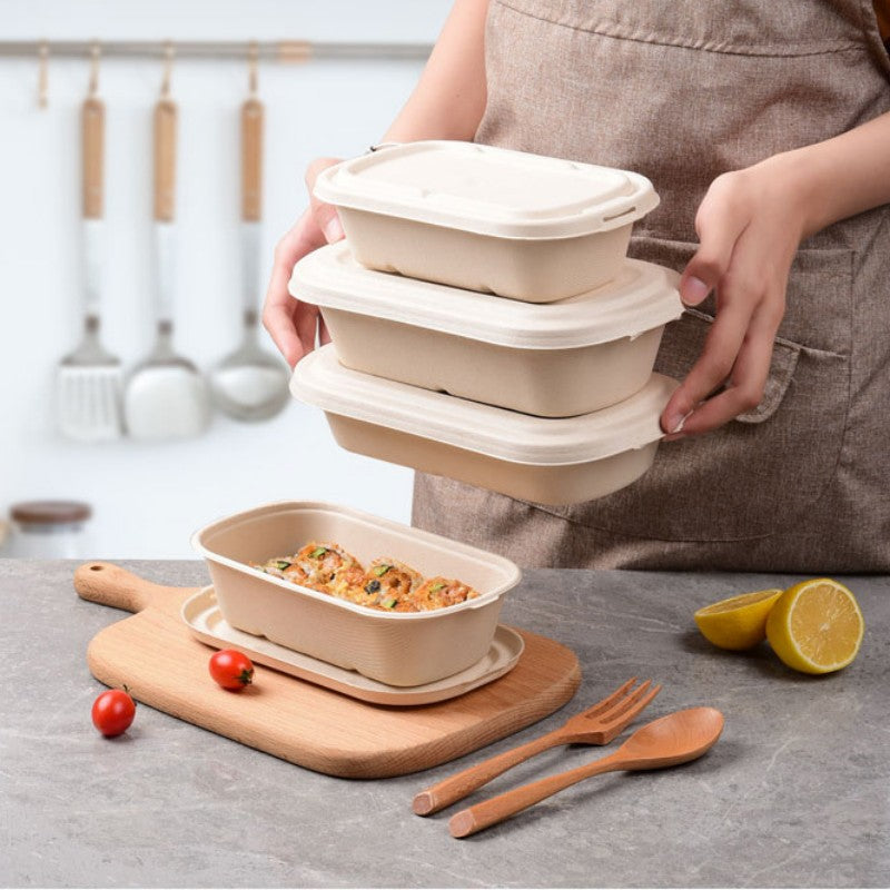 Disposable Food Containers with Lids for Takeout Food GreenLivingLife