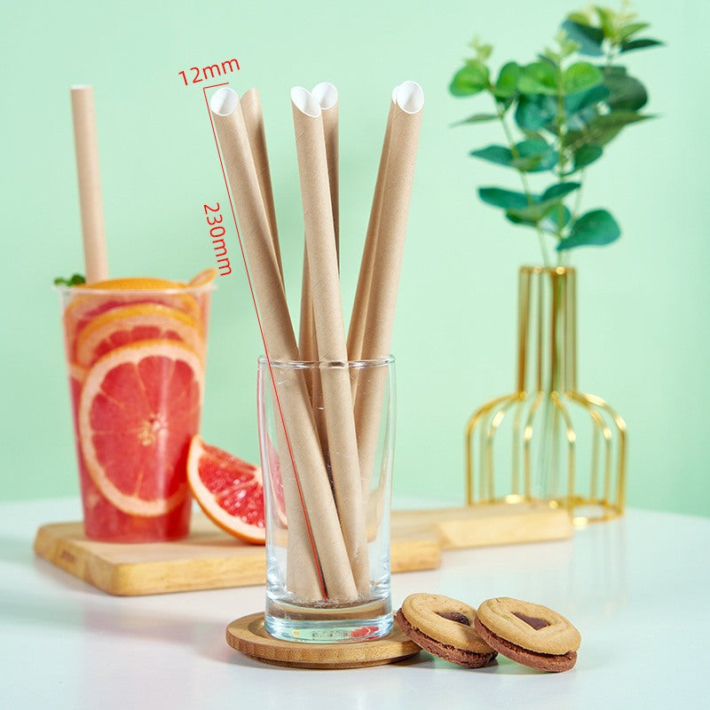 Biodegradable Eco-Friendly Paper Straw