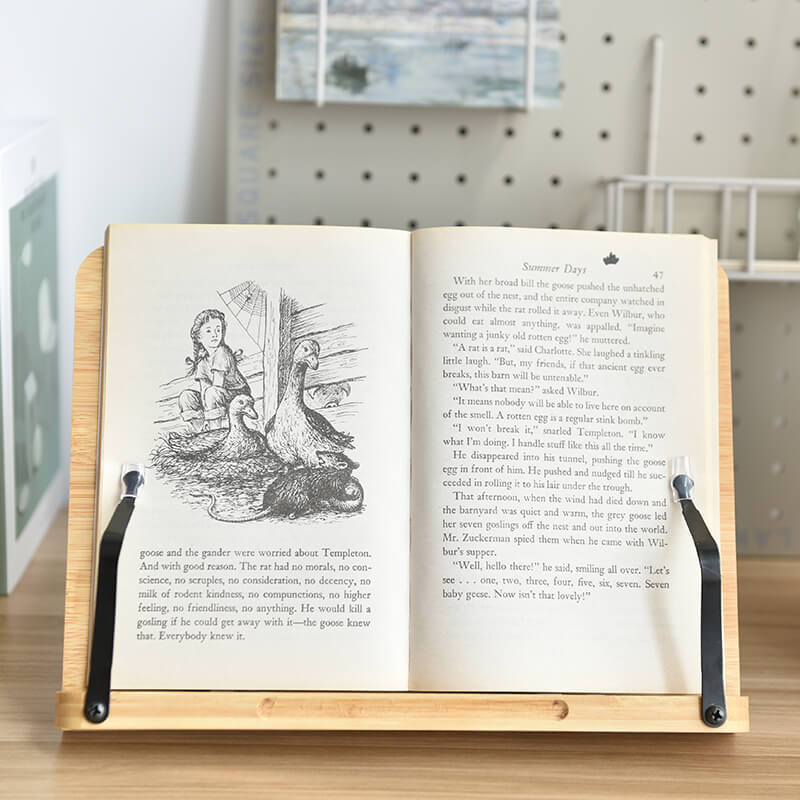 Why You Need a Book Holder and Where to Get it – GreenLivingLife