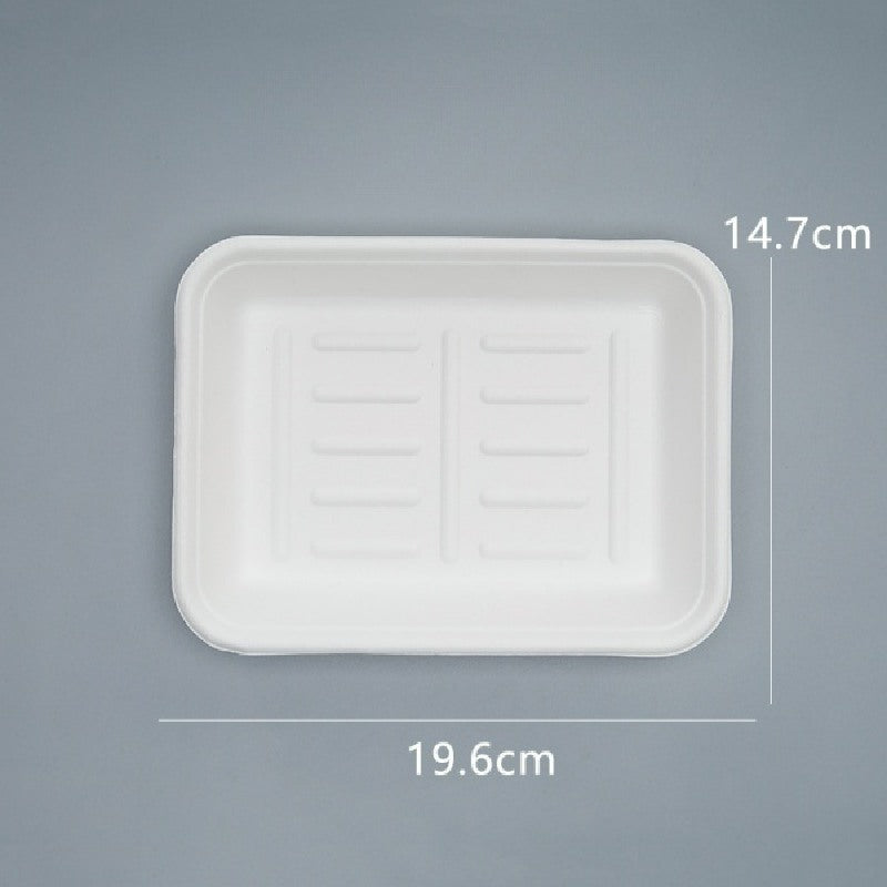 Rectangle Disposable Plate for BBQ/ Picnic/ Party