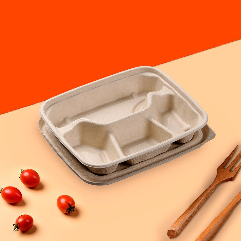 Disposable Bento Boxes with Compartments and Lids for Takeout Food ...