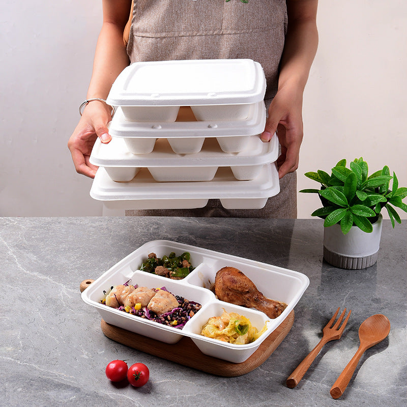 Small Container Bento Disposable Bento Boxes with Compartments and Lids for Takeout Food ...