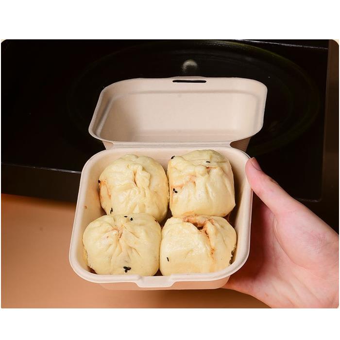 Disposable Square Clamshell Food Container