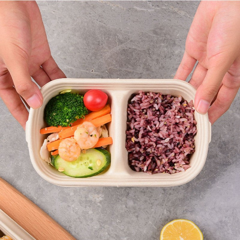 Disposable Compartment Food Containers 