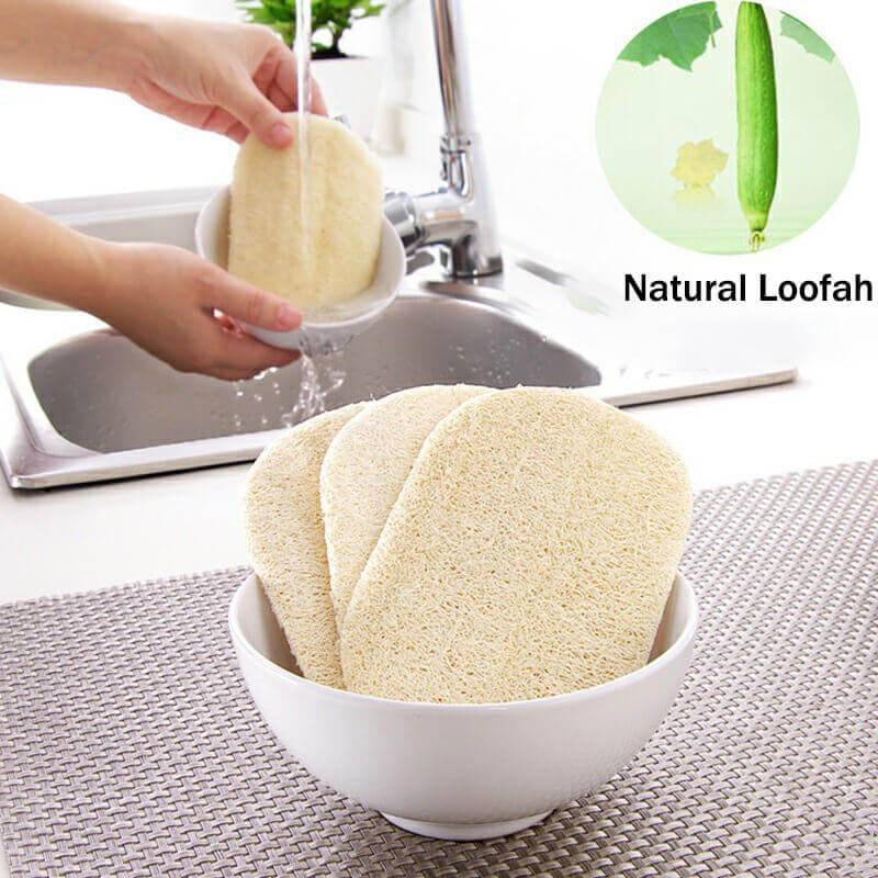 Kitchen Luffa Natural Loofah Sponge - Non-Scratch Kitchen Brush – GreenLivingLife